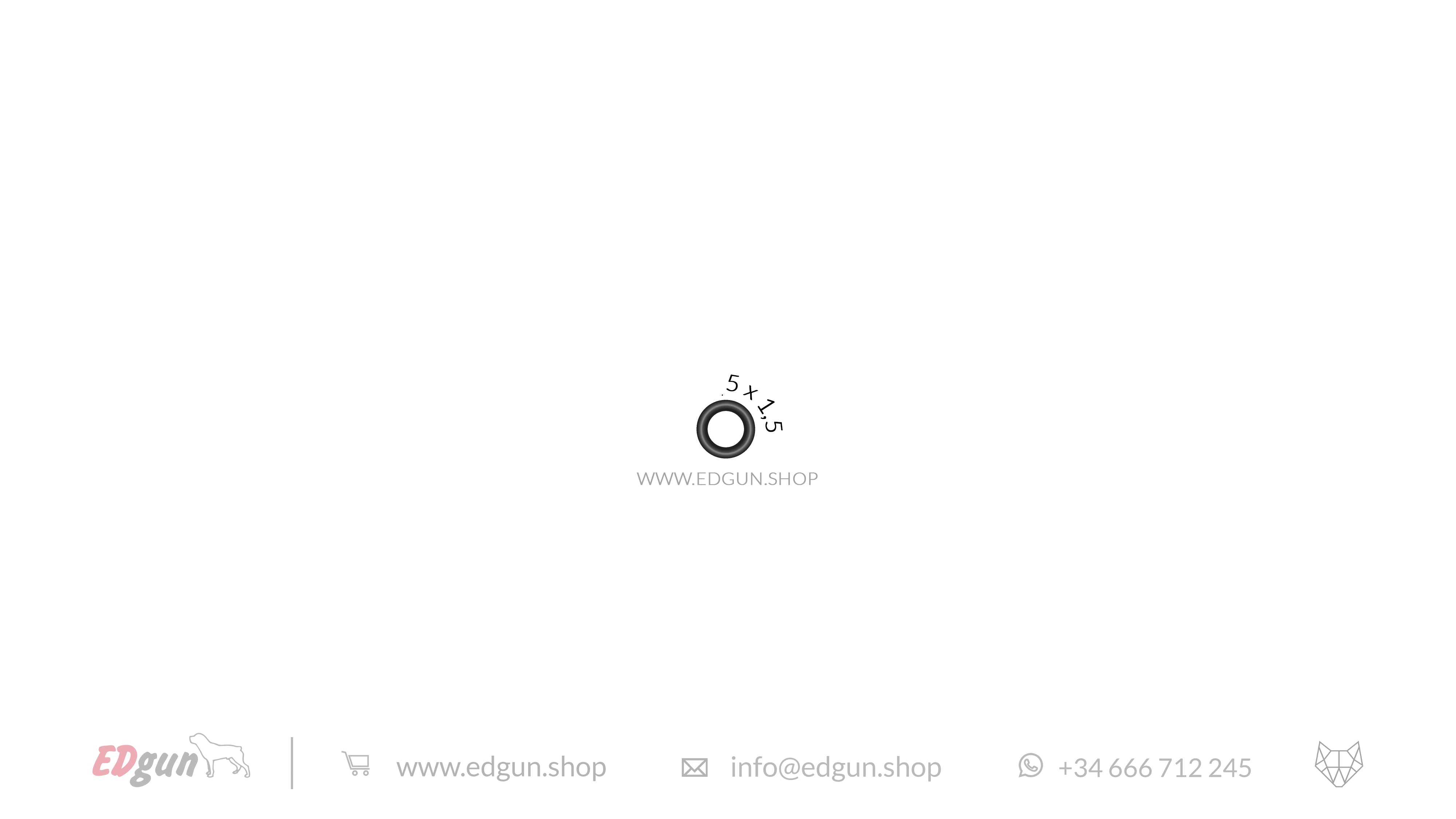 Leshiy 2 · Original O-rings Set