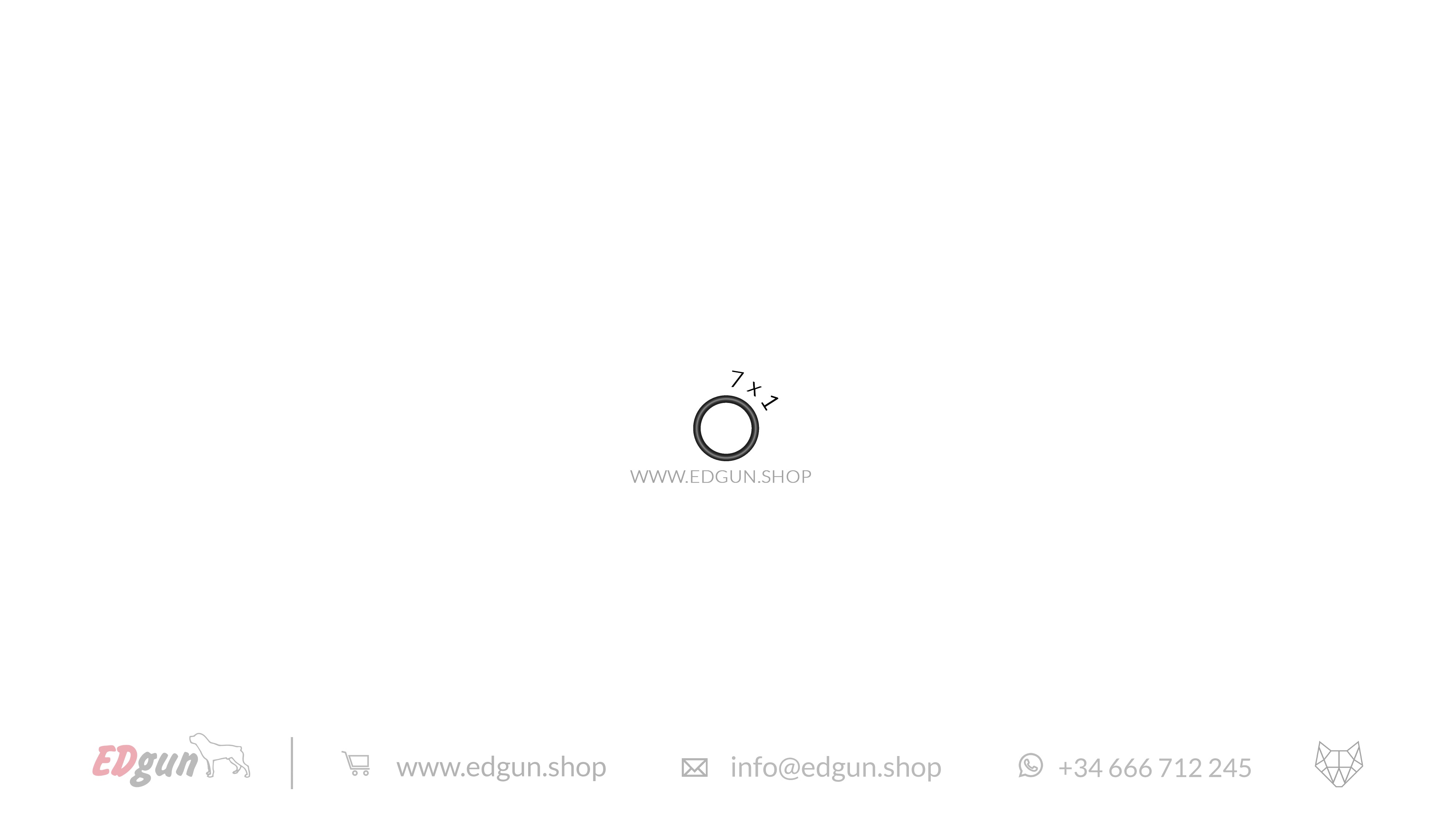 Leshiy 2 · Original O-rings Set