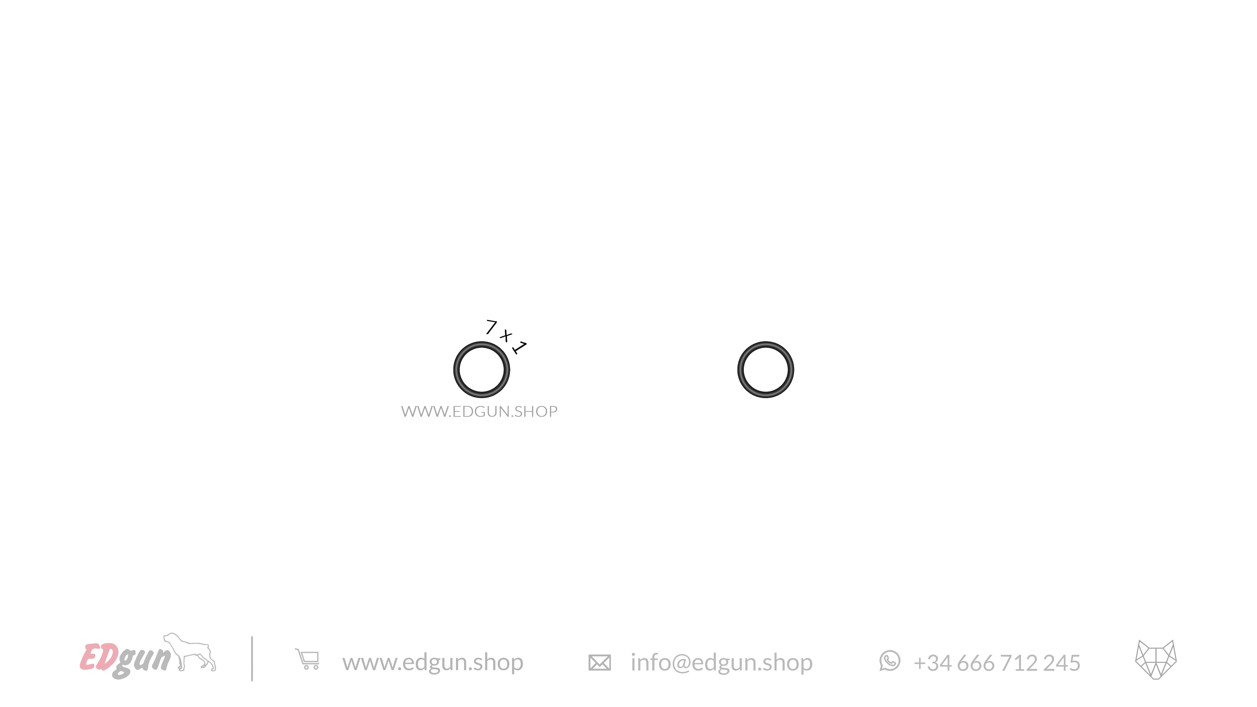 Leshiy 2 · Original O-rings Set