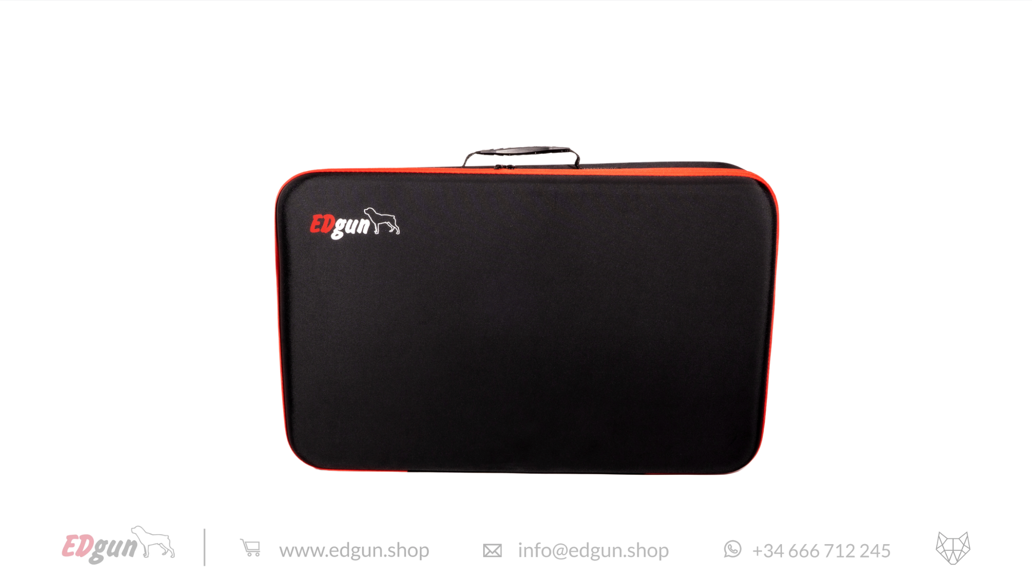 Case for Leshiy 2