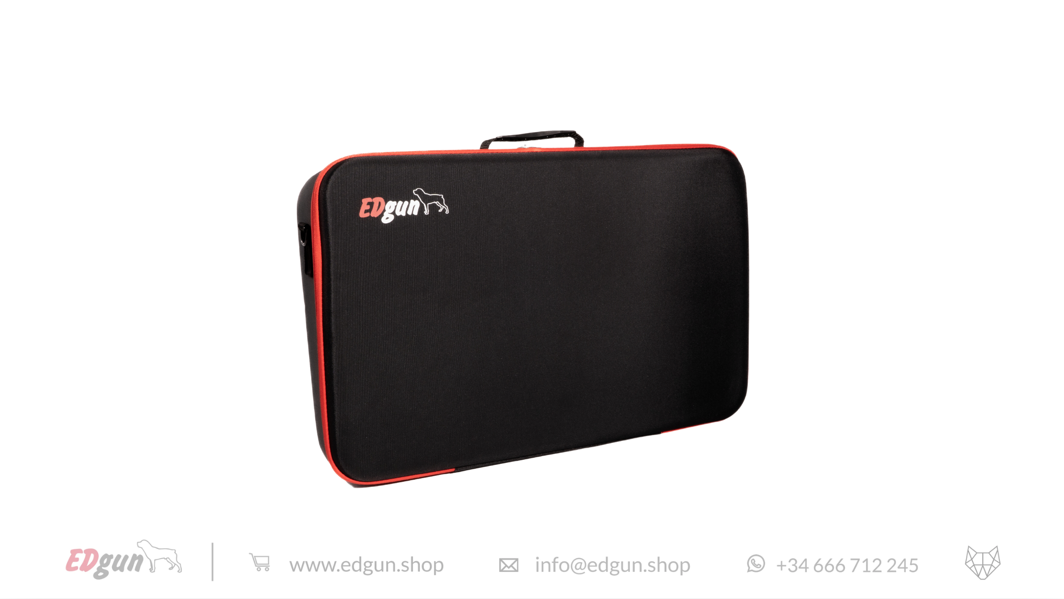 Case for Leshiy 2