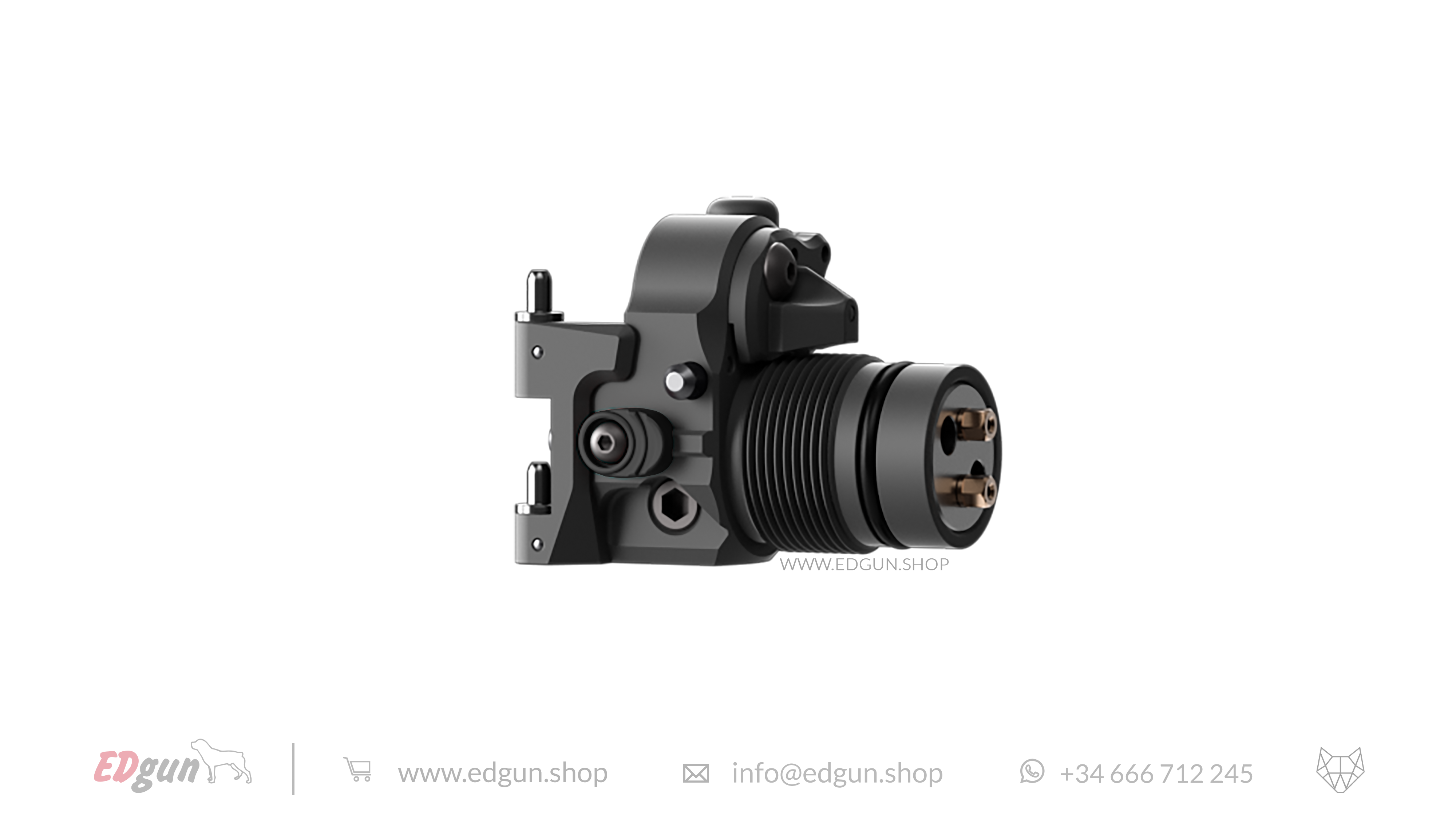 Leshiy 2 · Build Your Forward Plug