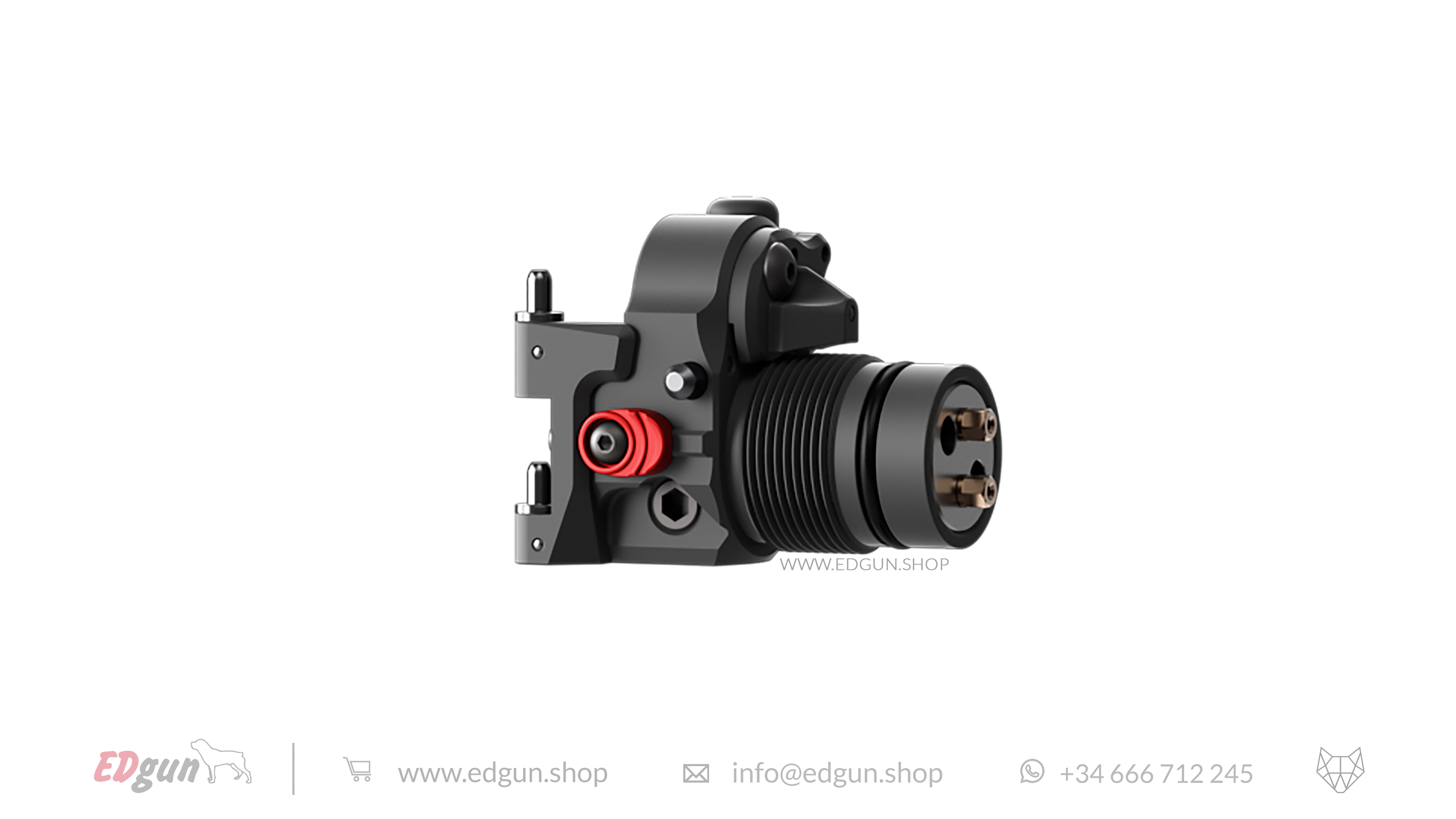 Leshiy 2 · Build Your Forward Plug