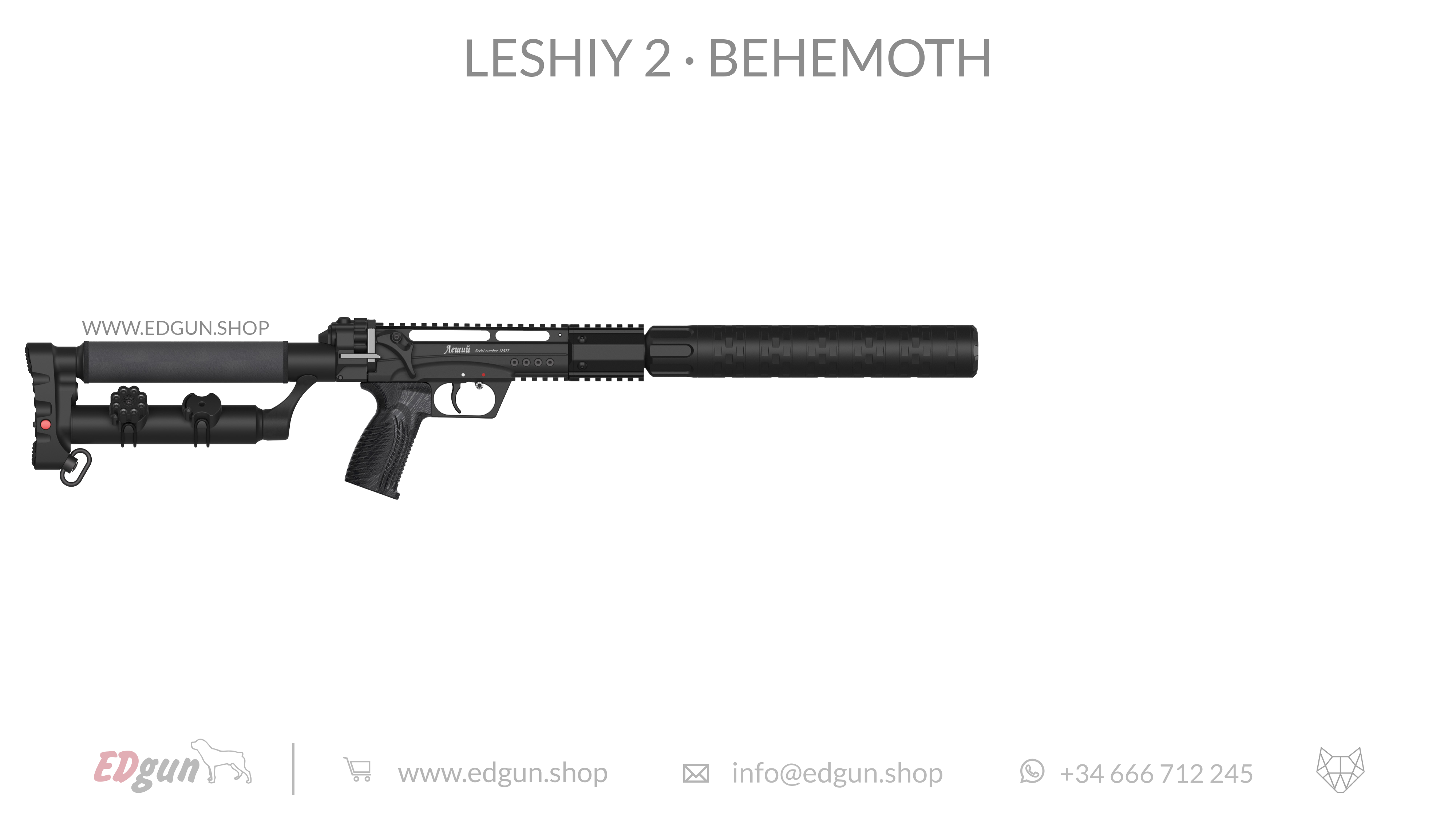 Leshiy 2 · Behemoth Picatinny · All Black