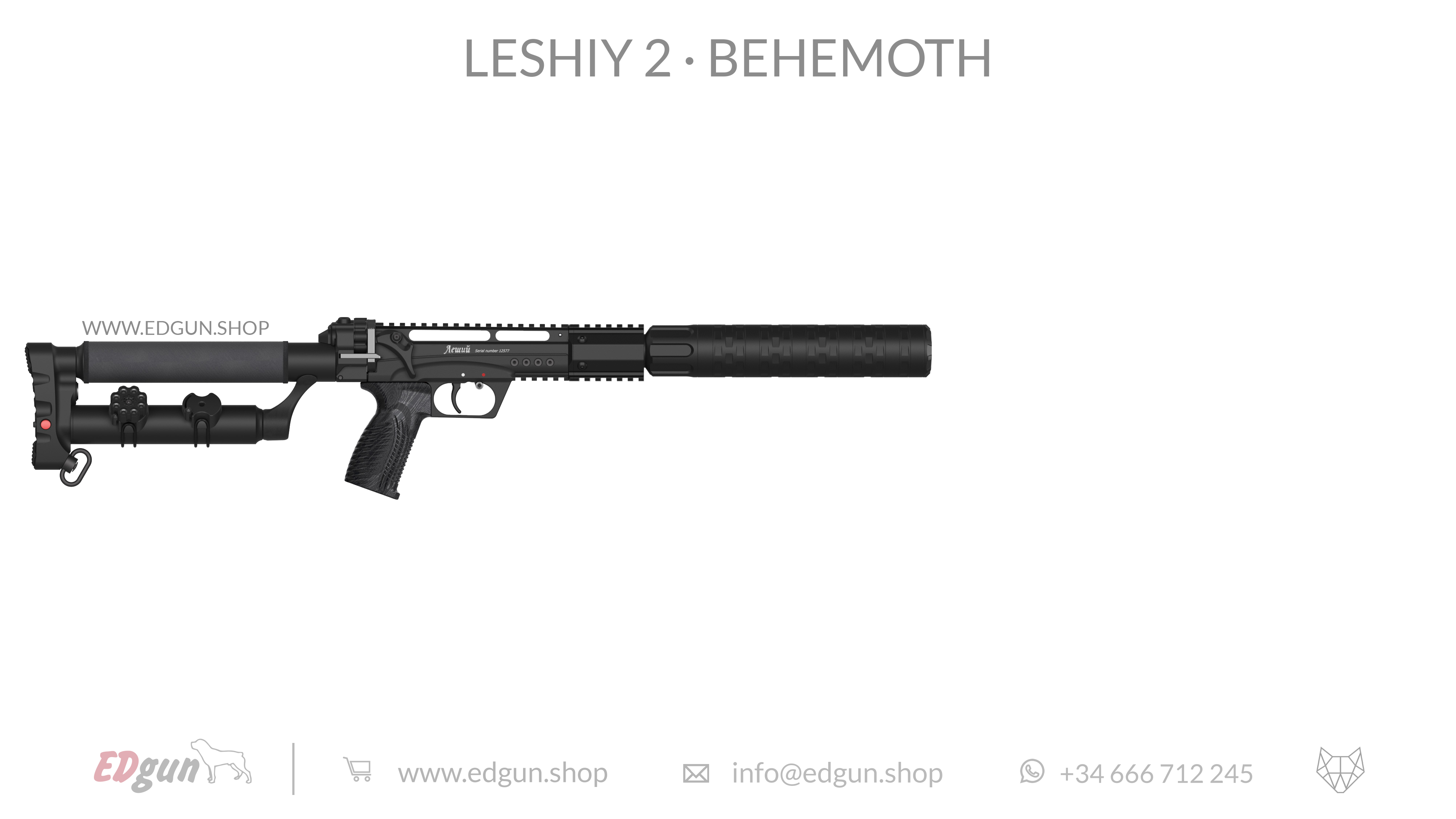 Leshiy 2 · Behemoth Picatinny · All Black