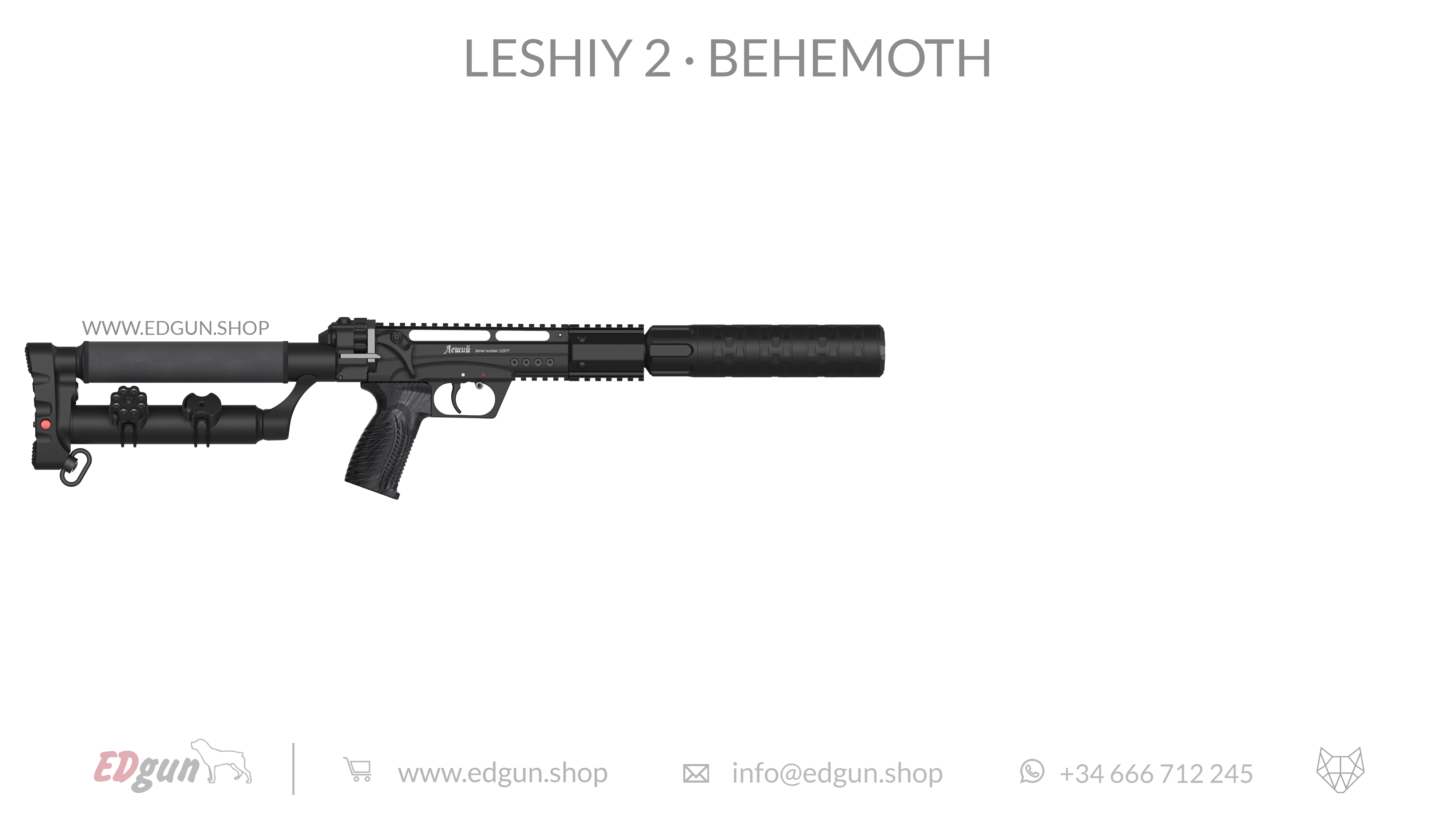Leshiy 2 · Behemoth Picatinny · All Black