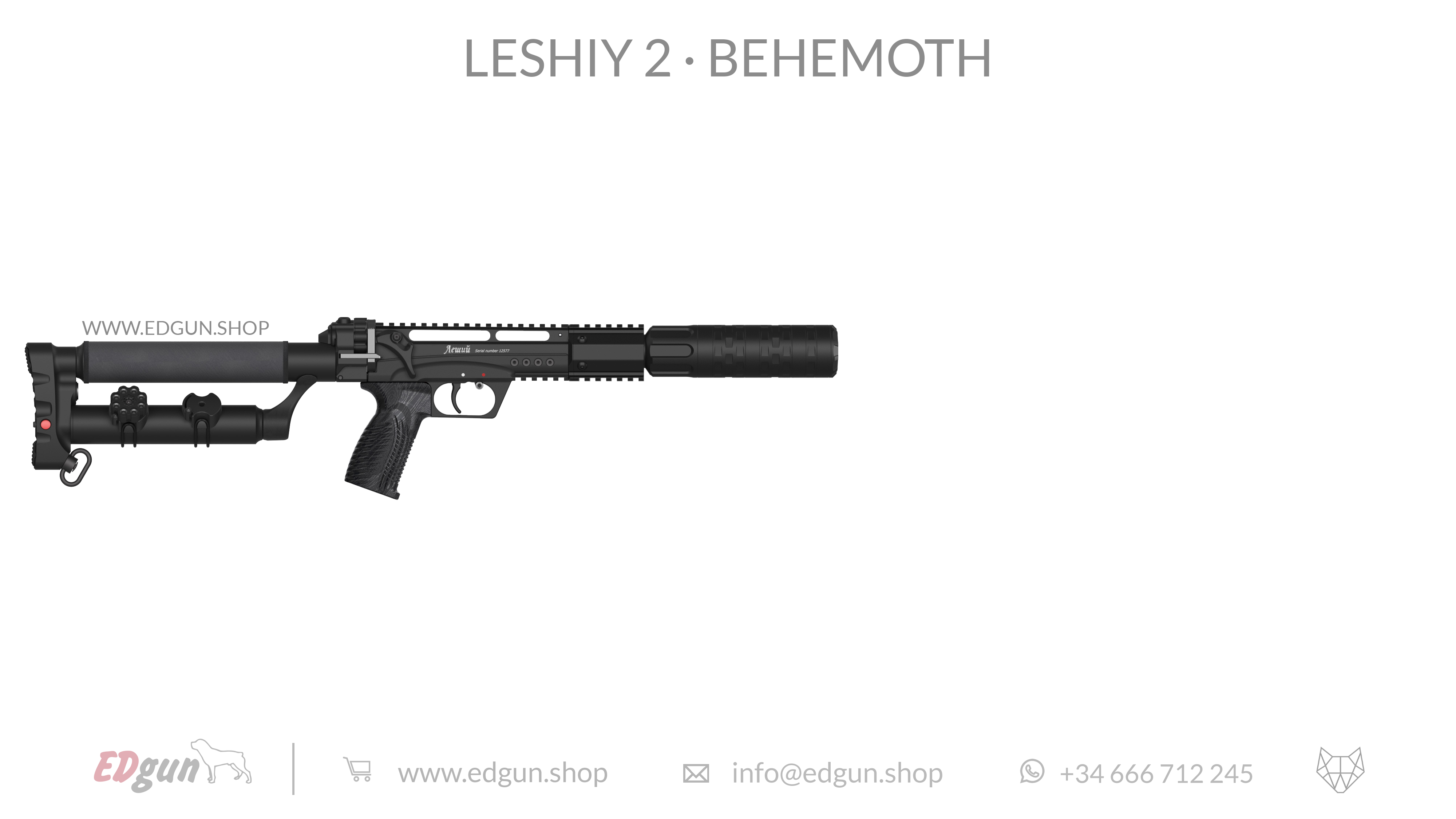 Leshiy 2 · Behemoth Picatinny · All Black
