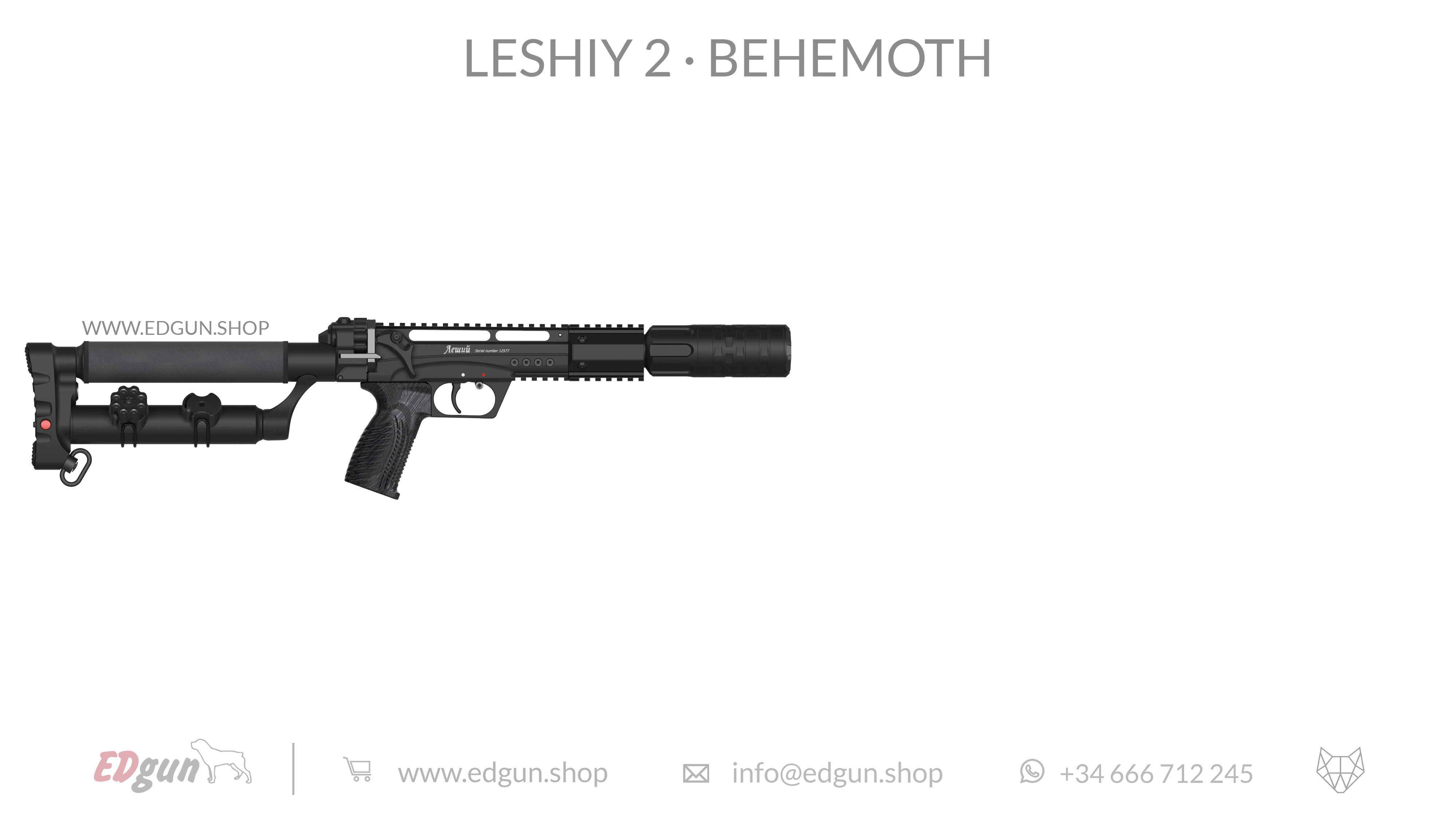 Leshiy 2 · Behemoth Picatinny · All Black