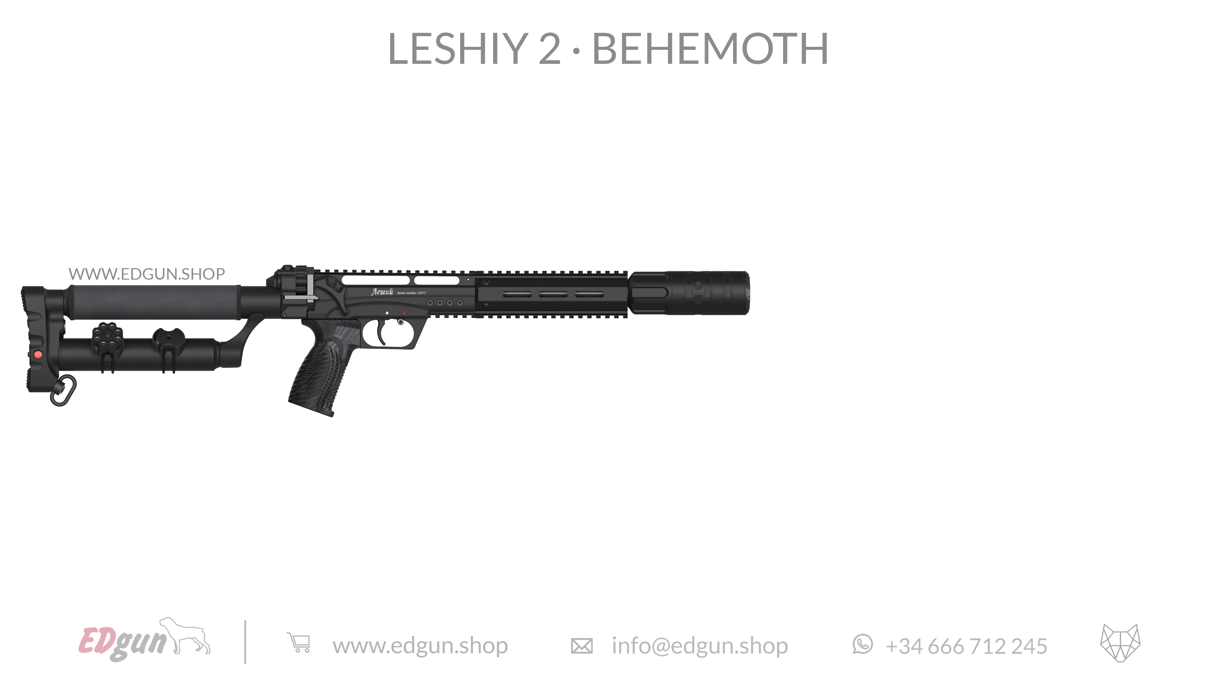 Leshiy 2 · Behemoth Picatinny · All Black